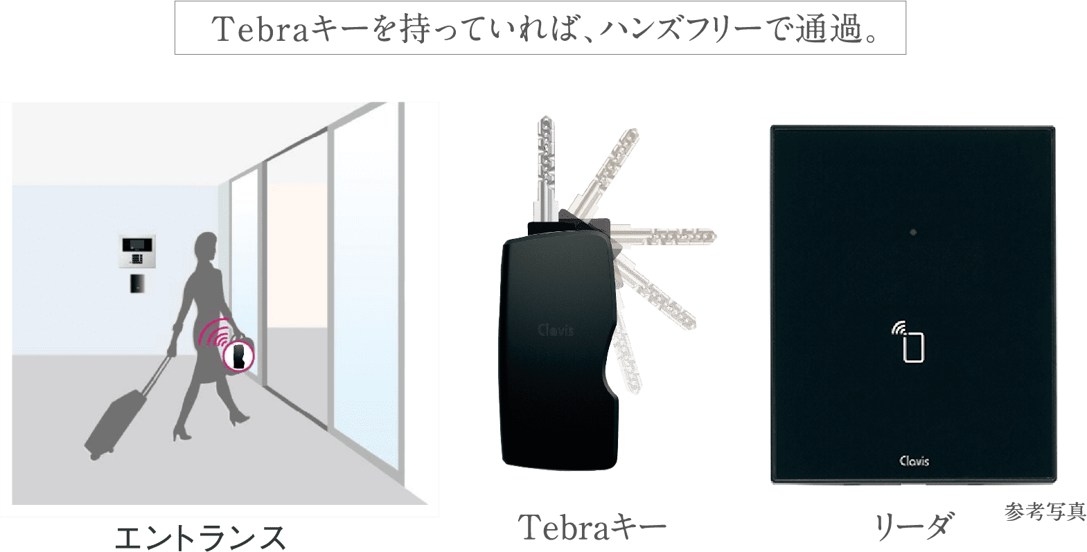 Tebraキー
